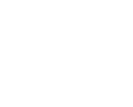Bel Tedsen logo