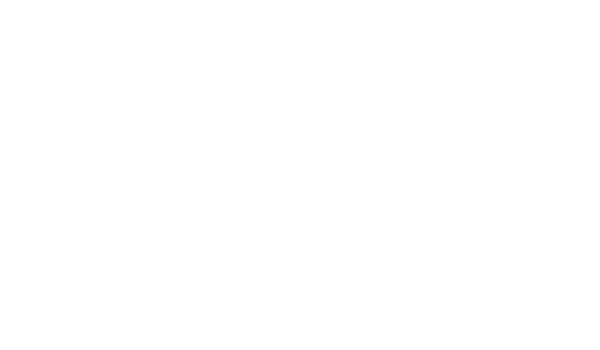 SFC energy logotip
